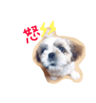 栄五郎（個別スタンプ：29）