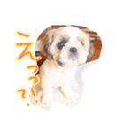 栄五郎（個別スタンプ：34）