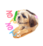 栄五郎（個別スタンプ：36）