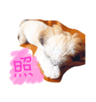 栄五郎（個別スタンプ：37）