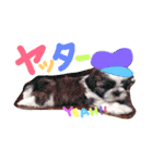 栄五郎（個別スタンプ：38）