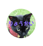 クロ君とぶちゃ君（個別スタンプ：6）