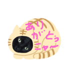 クロ君とぶちゃ君（個別スタンプ：7）