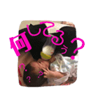 谷村Family（個別スタンプ：15）