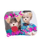 谷村Family（個別スタンプ：17）