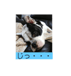 三平君のスタンプ（個別スタンプ：7）