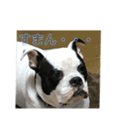 三平君のスタンプ（個別スタンプ：8）