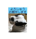 三平君のスタンプ（個別スタンプ：12）