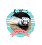フェレットもずく（個別スタンプ：9）