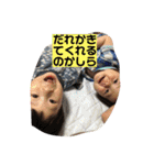 ひろととやまとのスタンプ（個別スタンプ：33）
