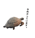 頑張れ動物達（個別スタンプ：6）