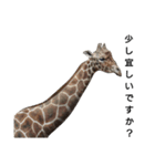 頑張れ動物達（個別スタンプ：8）