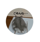 うちのハムハム’s(Lv.1)（個別スタンプ：4）