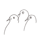 白いトリさんたち（個別スタンプ：10）
