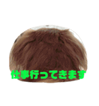 ダックスフンドのチロルくん（個別スタンプ：14）