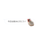文鳥さんのひとりごと（個別スタンプ：4）