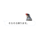 文鳥さんのひとりごと（個別スタンプ：8）