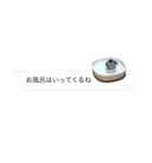 文鳥さんのひとりごと（個別スタンプ：10）