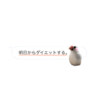 文鳥さんのひとりごと（個別スタンプ：13）