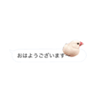 文鳥さんのひとりごと（個別スタンプ：16）