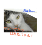 靴下戦隊3（個別スタンプ：8）