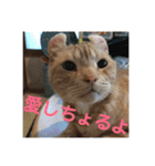 うちの注さん（個別スタンプ：14）
