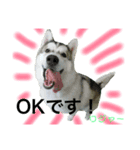 ロジャースタンプ（個別スタンプ：4）