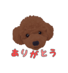 ルナちゃんのオリジナルスタンプ！（個別スタンプ：2）