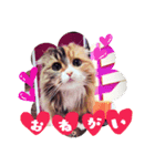 ちどりマリンもみじ愛猫！（個別スタンプ：2）