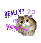ちどりマリンもみじ愛猫！（個別スタンプ：4）