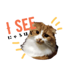 ちどりマリンもみじ愛猫！（個別スタンプ：7）