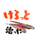 我が家のごはん（個別スタンプ：8）