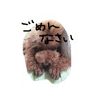 おいら、さく（個別スタンプ：8）