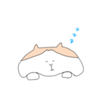 茶白猫ころんの日常（個別スタンプ：8）