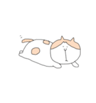茶白猫ころんの日常（個別スタンプ：20）