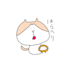 茶白猫ころんの日常（個別スタンプ：22）