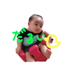 僕ちゃんのポチッと一言（個別スタンプ：12）