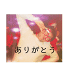 マジこいつ誰？（個別スタンプ：3）