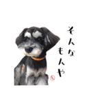 ミニチュアシュナウザー、るんちゃん（個別スタンプ：10）