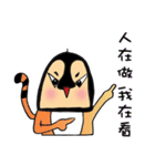 ペンギンと猫のための奇妙なニュース。（個別スタンプ：29）