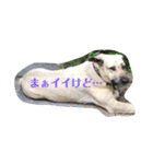 えんじぇるさんのスタンプ（個別スタンプ：2）