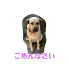 えんじぇるさんのスタンプ（個別スタンプ：11）