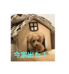 ななのすたんぷ（個別スタンプ：2）
