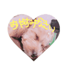 ななのすたんぷ（個別スタンプ：4）