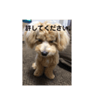 ななのすたんぷ（個別スタンプ：5）