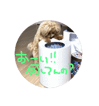 ななのすたんぷ（個別スタンプ：8）