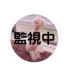 ななのすたんぷ（個別スタンプ：10）