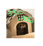 ななのすたんぷ（個別スタンプ：13）