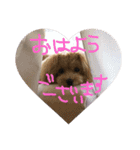 ななのすたんぷ（個別スタンプ：15）