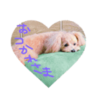 ななのすたんぷ（個別スタンプ：16）